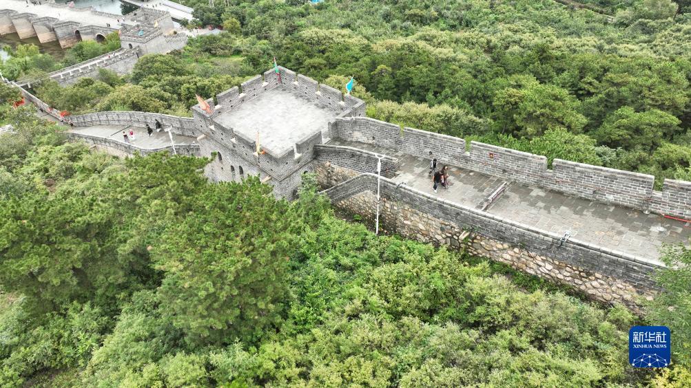 摩斯国际体育平台